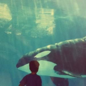 Meet your Posher, Frankie